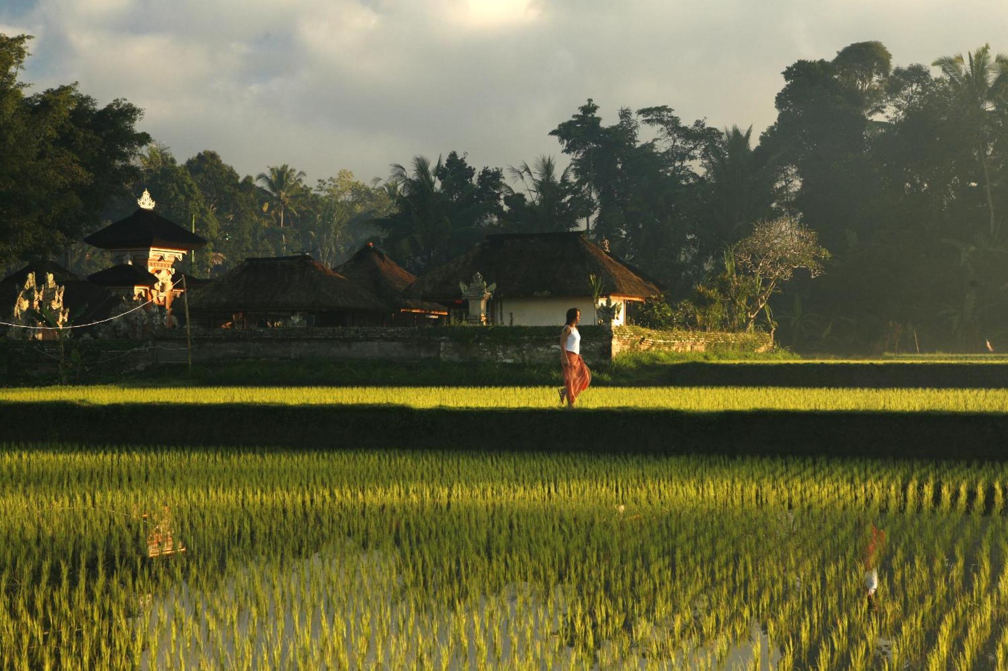 Kayumanis Ubud Private Villas & Spa Facilities photo